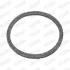 NISSAN Кільце глушника Almera 03/2000-, Primera 07/2002-, Terrano 05/2002 Walker 80394 (фото 1)