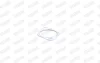 FORD прокладка глушника Focus II 03-, Galaxy 06-, S-Max 10 Walker 80505 (фото 6)