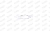 FORD прокладка глушника Focus II 03-, Galaxy 06-, S-Max 10 Walker 80505 (фото 7)
