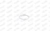FORD прокладка глушника Focus II 03-, Galaxy 06-, S-Max 10 Walker 80505 (фото 8)