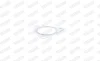 Прокладка глушителя CITROEN Jumper 04/2006 -, FIAT Ducato 04/2006 Walker 80552 (фото 7)