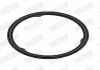 Прокладка випускної системи ALFA ROMEO MITO CHEVROLET AVEO CITROEN NEMO, NEMO/MINIVAN FIAT 500, 500 C, 500L, DOBLO, DOBLO CARGO, FIORINO/MINIVAN, GRANDE PUNTO, IDEA, PANDA 1.3D 10.05- WALKER 80754 (фото 4)
