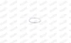 FISCHER NISSAN кільце глушника (заднє) HONDA, SUBARU MAZDA 121 -96 Almera 95-, Primera -02, Sunny -00, Vanette 93 Walker 81162 (фото 7)