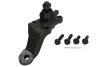 Шарова опора Лів (нижн передн) (діаметр конуса 17,45mm) TOYOTA 4 RUNNER III, LAND CRUISER, LAND CRUISER 90, SEQUOIA, TUNDRA 2.7-4.7 05.93-10.07 YAMATO J12027YMT (фото 1)