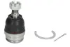 Шарова опора Лів/Прав (нижн передн) (діаметр конуса 20,4mm) TOYOTA LAND CRUISER 100, LAND CRUISER PRADO, PLATZ, RAUM, TUNDRA, YARIS VERSO 1.0-5.7ALK 01.98- YAMATO J12066YMT (фото 1)