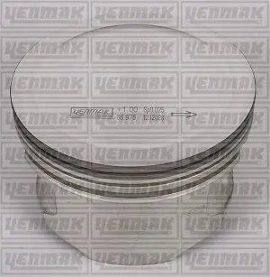 Поршень с кольцами і пальцем (размер отв. 86,50/+0,5) OPEL ASTRA G 2.2 -05 (4цл.) (Z 22 SE) бензин YENMAK 31-04221-050
