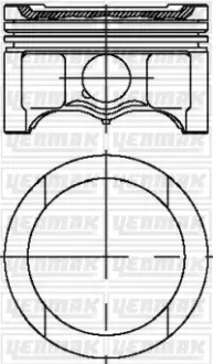 Поршень с кольцами і пальцем (размер отв. 81.01/STD) VW Caddy 1.6 Golf V/VI 1.6 (4ц.) (BFQ) бензин YENMAK 31-04316-000 (фото 1)