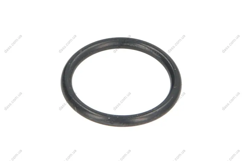 Ущільнююче кільце коробки передач 17xx2мм 2 HL 100 T 7113 L T 7200 ZF 0634306198 (фото 1)