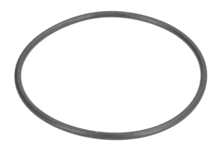 Ущільнююче кільце коробки передач 75xx3мм 4WG210 ZF 0634313643